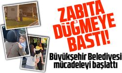 Trabzon Büyükşehir Belediyesi Dilencilere Göz Açtırmıyor