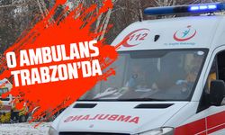 Rize'de Park Halindeki Ambulansı Kaçıran Kişi Trabzon'da Yakalandı
