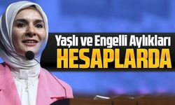 Bakan Göktaş Duyurdu: Yaşlı ve Engelli Aylıkları Hesaplara Yatırılmaya Başlandı