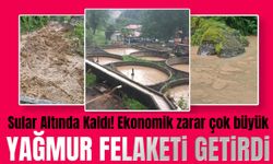Trabzon’da Yoğun Yağış Felaketi: Balık Çiftliği Sular Altında Kaldı!
