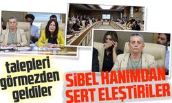 CHP'li Vekil Sibel Suiçmez'den Öğretmenlik Meslek Kanunu'na Sert Eleştiri!