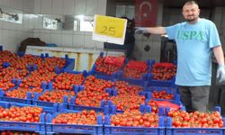 Giresun’da Halk Pazarlarına Güven Azalıyor: Alım Gücü Düşerken Fiyatlar Artıyor