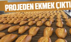 Trabzon Ortahisar’da Halk Ekmek Projesi'nde, 200 gramlık ekmeğin fiyatı belli oldu