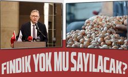 KFMİB Başkanı Hasan Osman Sabır’dan Kritik Açıklamalar: Fındık Sektörü Zorlu Bir Dönemeçte