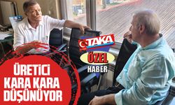 Trabzon Fındık Üreticileri Derneği Başkanı Suat Bayraktar'dan Fındık Fiyatları Hakkında Açıklama