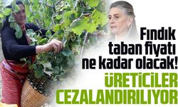 Trabzon Milletvekili'den Fındık Üreticilerine Destek Çağrısı