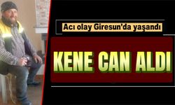 Giresun'da Kene Isırması Can Aldı: 49 Yaşındaki Hidayet G. Hayatını Kaybetti