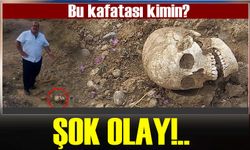 Kelkit'te Şok Olay: Yol Ortasında İnsan Kafatası Bulundu