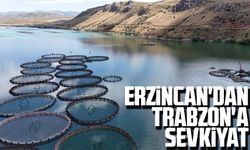 Erzincan'dan Trabzon'a Sevkiyat Artıyor