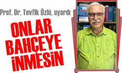 Uzmanlardan Uyarı: Akciğer Hastaları Fındık Bahçelerine Girmemeli