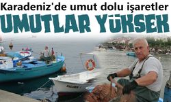Karadeniz'de Palamudun Bol Olacağına Dair Umut Veren İşaretler Beliriyor