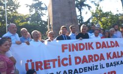 Karadeniz’de Üreticiden Büyük Tepki: AK Parti’ye Uyarı!