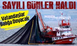 Yasak 1 Eylül'de Bitiyor! Sayılı Günler Kala Denizler Doldu