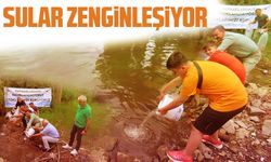 Balıklandırma Projesi İle Amasya’nın Suları Zenginleşiyor