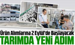 Akçaabat’ta Tarımda Yeni Adım: Kokulu Üzüm ve Aronya Alımları Başlıyor