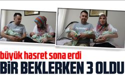 Giresunlu Çiftin Bebek Hasreti Üçüz Sevinciyle Son Buldu!