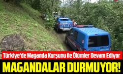 Türkiye'de Maganda Kurşunu ile Ölümler Devam Ediyor