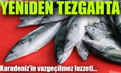 Karadeniz'in Vazgeçilmez Lezzeti Geri Döndü; Karadeniz'in İncisi Yeniden Tezgahlara Geri Döndü!