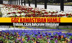 Trabzon, Çiçek Bahçesine Dönüşüyor: Büyükşehir Belediyesi'nden Göz Kamaştırıcı Yeşil Hamle!