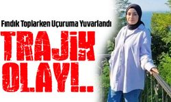 Giresun’un Dereli İlçesinde Trajik Olay: Fatma Aydın Fındık Toplarken Uçuruma Yuvarlandı