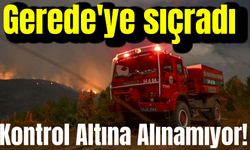 Ankara ve Bolu Arasındaki Orman Yangını 18 Saattir Kontrol Altına Alınamıyor!