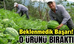 Giresunlu Üretici Fındık Bahçesinde Karpuz Yetiştirdi!