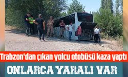 Trabzon-Iğdır Seferini Yapan Yolcu Otobüsü Tarlaya Girdi: 14 Yaralı