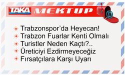 Kahverengi Kokarca Fındık Üreticilerini Vuruyor! Fırsatçılara Karşı Uyarı