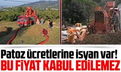 Vakfıkebir'de Patoz Ücretlerine İsyan! Üreticilerden Tepki: "Bu Ücretler Çok Fazla!"