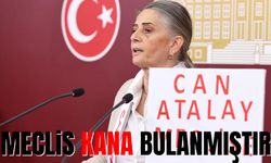 CHP TRABZON MİLLETVEKİLİ SİBEL SUİÇMEZ: MECLİS KANA BULANMIŞTIR