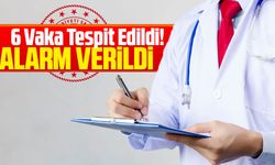 Türkiye'de Batı Nil Virüsü Alarmı: 6 Vaka Tespit Edildi!