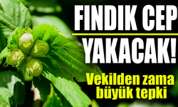 Karadeniz'in İncisi Fındığa Şok Zam; Fiyatı Cep Yakacak...