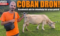 Dronla Çobanlık: Onur Ekin İneklerini Drone ile Ahıra Götürüyor