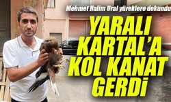 Yaralı Kartal Kurtarıldı! Yolda Bulup Ekiplerine Teslim Etti