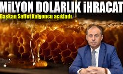 Doğu Karadeniz’den Sekiz Ayda Milyon Dolarlık Bal İhracatı: Balda Rekor Gelir Elde Edildi