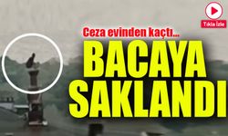 Cezaevi Firarisi Polisten Kaçarken Çıktığı Çatıdaki Bacanın Üzerinde Yakalandı