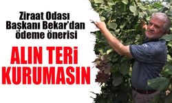 Ziraat Odası Başkanı Mustafa Bekar’dan TMO’ya Ödeme Önerisi: “Alın Teri Kurumadan Emeğin Karşılığı Ödenmeli”