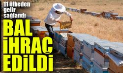 Ocak-Ağustos Döneminde 11 Ülkeye Bal İhraç Edildi: ABD İlk Sırada!