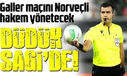 Galler maçını Norveçli hakem Rohit Saggi yönetecek