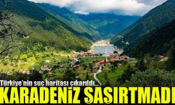 Türkiye'nin Suç Haritası Açıklandı: Karadeniz Bölgesi Stabil Kaldı