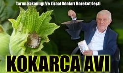 Tarım Bakanlığı ve Ziraat Odaları Harekete Geçti: Kokarca Avı Başlıyor!