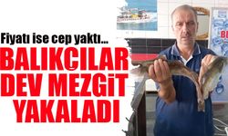 Ordu’da Balıkçılar Dev Mezgit Yakaladı: 1,5 Kilogramlık Kanca Mezgidi Görenleri Şaşırttı!