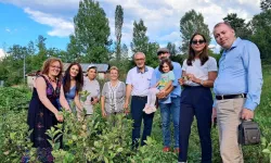 Aronya Bitkisi Artvin’de Yüzleri Güldürdü: Emekli Üretici İlk Hasadı Yapıyor