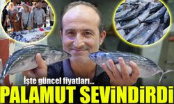 Palamut Bolluğu Balıkçıları ve Vatandaşları Sevindirdi: Kiloluk Palamutlar 70 TL!