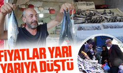 Doğu Karadeniz’de Palamut Bolluğu: Fiyatlar Yarıya Düştü!