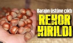 Fındık İhracatında Rekor Kırıldı: Baraj Aşıldı!