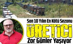 Karadeniz Arıcıları Zor Günler Geçiriyor! Bal Üretiminde Son 10 Yılın En Kötü Sezonu