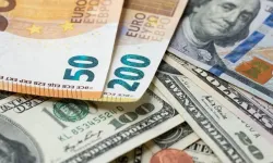 Euro Gerilemeye Devam Ediyor, Dolar Yükselişte! 29 Ekim 2024 Güncel Döviz Fiyatları