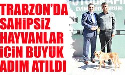 Trabzon’da Sahipsiz Hayvanlar İçin Tarihi Adım: 20 Köpek Sahiplendirildi!