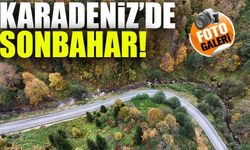 Doğu Karadeniz’de Sonbaharın Büyüleyici Renkleri! Seyrine Doyulmaz Manzaralar